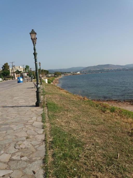 Nea Makri'S Little Ireland Daire Dış mekan fotoğraf