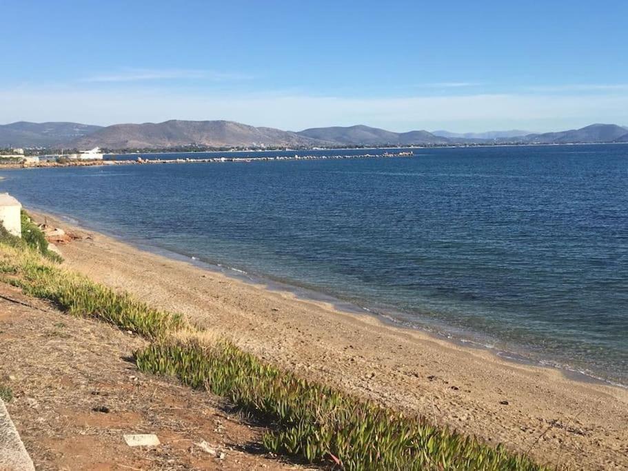 Nea Makri'S Little Ireland Daire Dış mekan fotoğraf